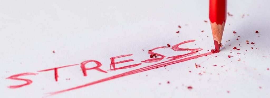 start met voelen - Lotus Coaching Limmen