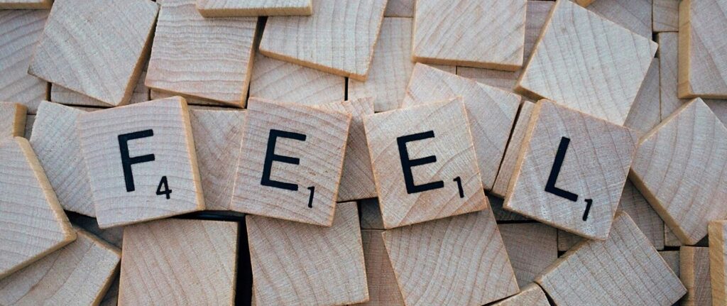 start met voelen, Lotus Coaching Limmen